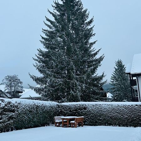 Ferienwohnung Niki Titisee-Neustadt Bagian luar foto