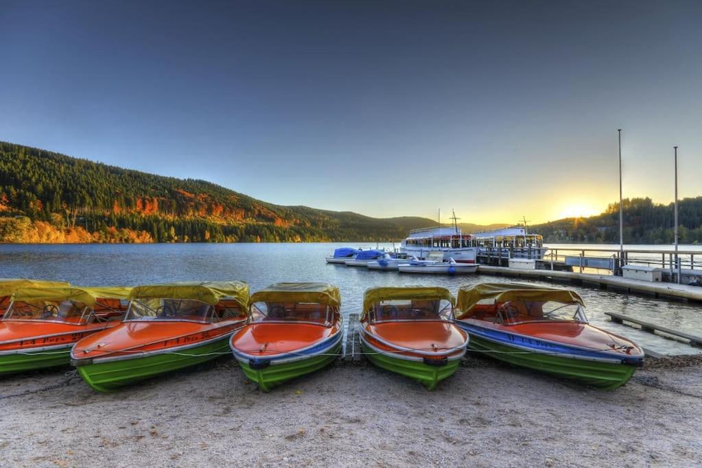 Ferienwohnung Niki Titisee-Neustadt Bagian luar foto