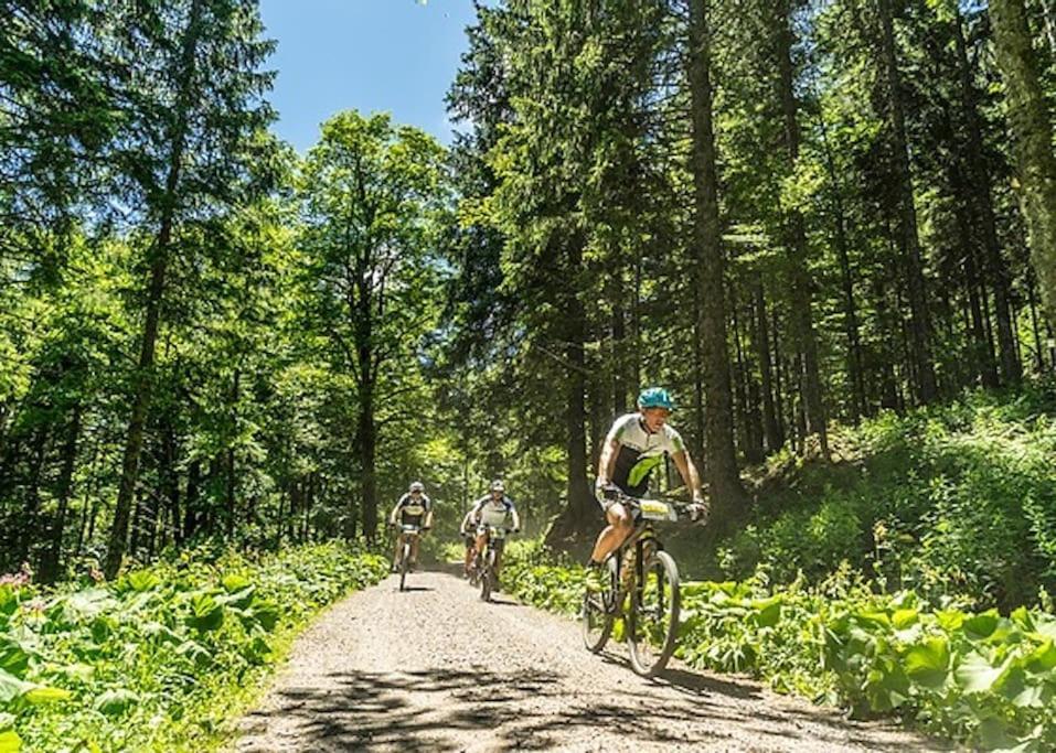 Ferienwohnung Niki Titisee-Neustadt Bagian luar foto