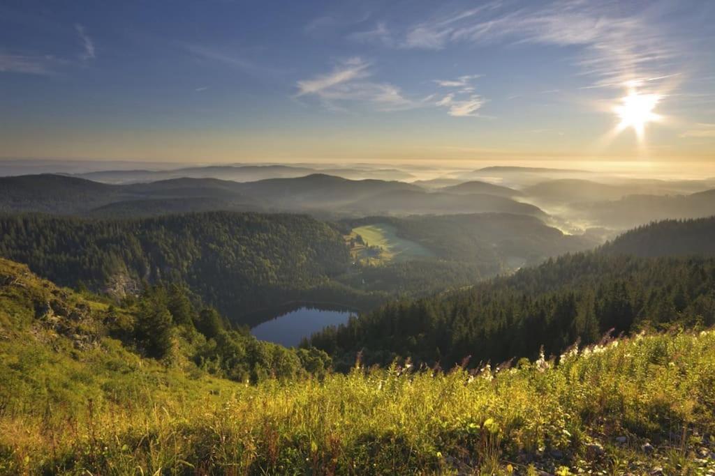 Ferienwohnung Niki Titisee-Neustadt Bagian luar foto