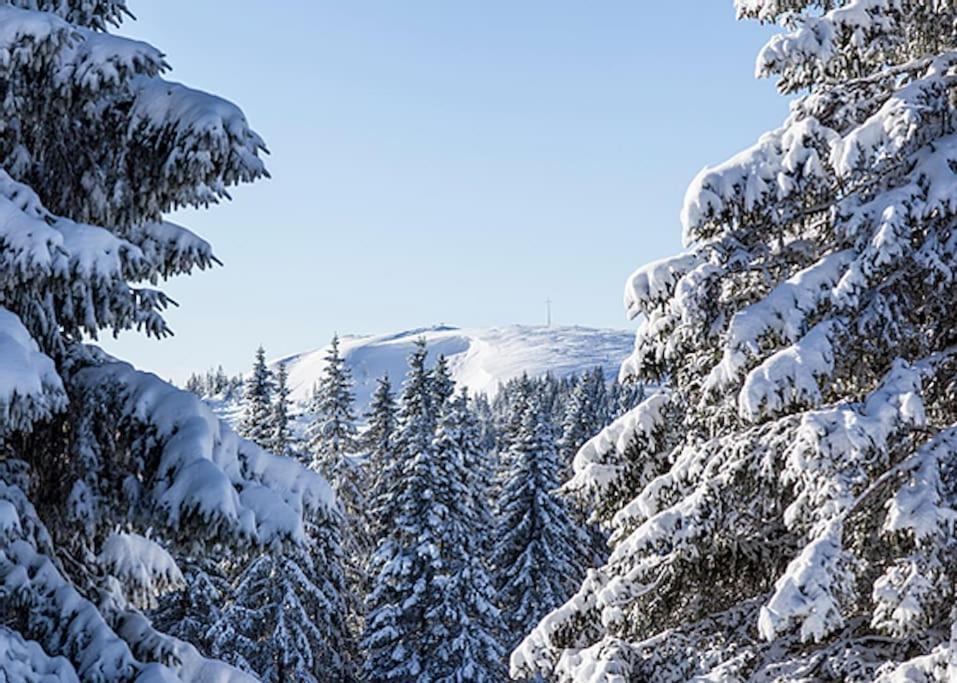 Ferienwohnung Niki Titisee-Neustadt Bagian luar foto