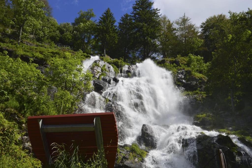 Ferienwohnung Niki Titisee-Neustadt Bagian luar foto