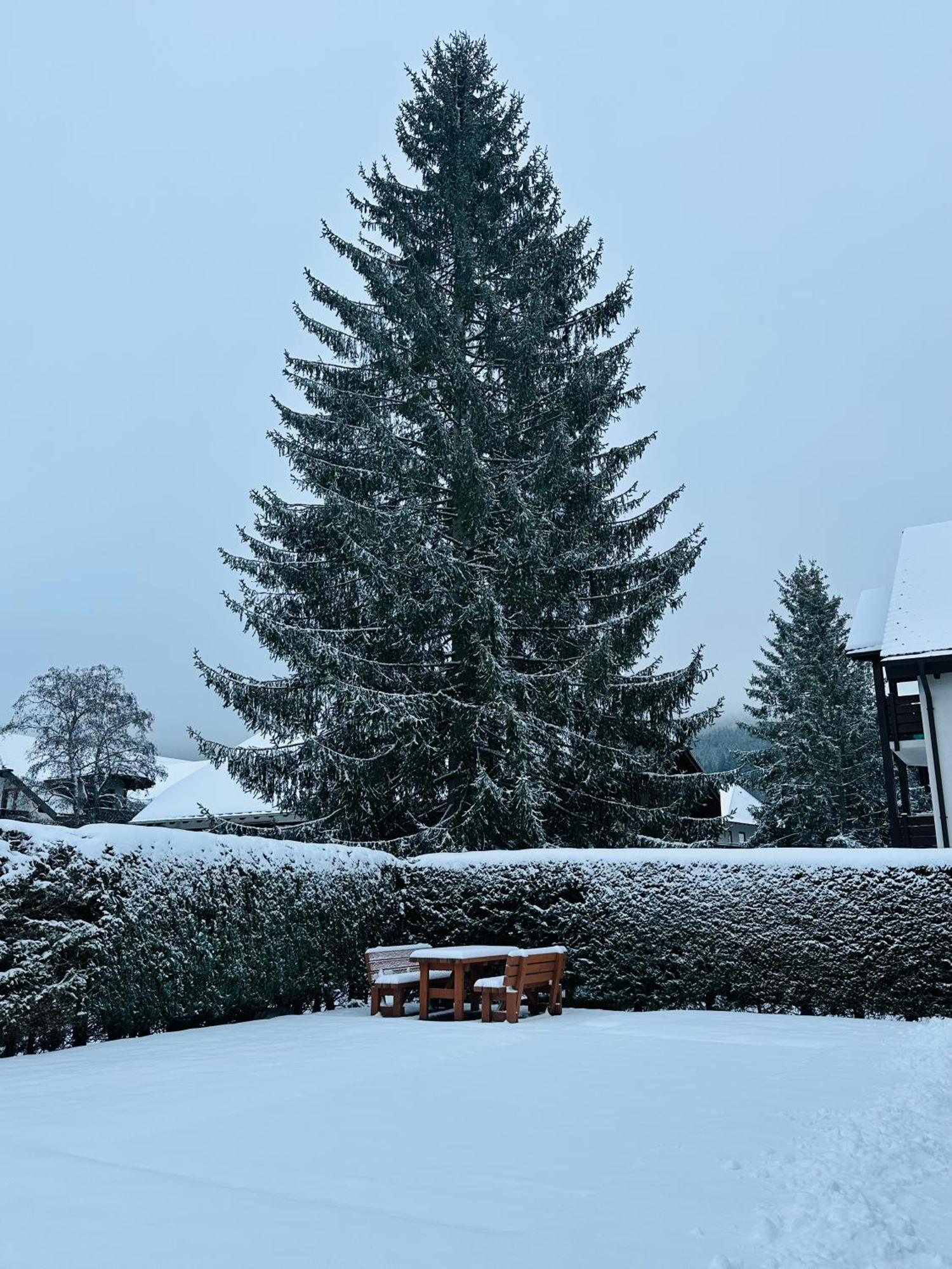 Ferienwohnung Niki Titisee-Neustadt Bagian luar foto